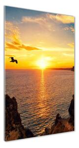 Vertikálny foto obraz fotografie na skle Západ slnka mora