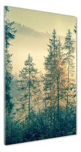 Vertikálny foto obraz sklenený Hmla nad lesom osv-90691876