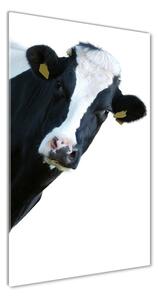 Vertikálny foto obraz sklenený Fľakatá krava