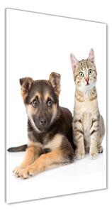 Vertikálny foto obraz sklenený Pes a mačka osv-94452483