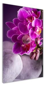 Vertikálny foto obraz sklo tvrdené Ružová orchidea
