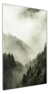 Vertikálny foto obraz sklenený Hmla nad lesom osv-98626353