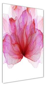 Vertikálny foto obraz sklenený Ružový kvet osv-98648030