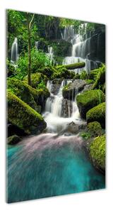 Vertikálny foto obraz fotografie na skle Vodopád v džungli