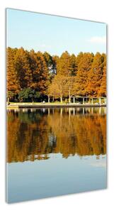 Vertikálny foto obraz sklenený Jesenný park osv-99522421