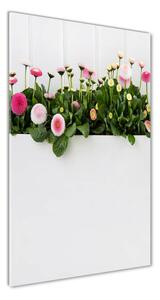 Vertikálny foto obraz fotografie na skle Ružové sedmokrásky