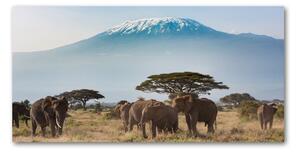 Foto obraz sklenený horizontálny slony Kilimandžáro