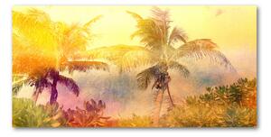 Foto obraz fotografie na skle farebné palmy osh-101481488