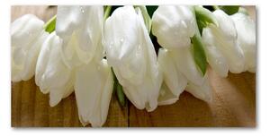 Fotoobraz na skle biele tulipány osh-104686883