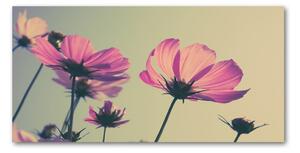 Foto obraz sklo tvrzené ružové kvety osh-104707608