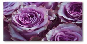 Foto obraz sklo tvrzené fialové ruže osh-106010688