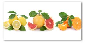 Foto obraz sklo tvrzené citrusové ovocie osh-108945081