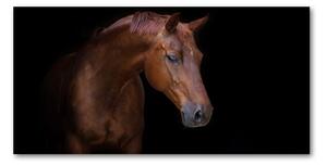 Foto obraz sklo tvrzené hnedý kôň osh-114030424