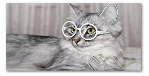 Fotoobraz na skle Mačka v okuliaroch osh-115959381