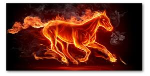 Moderný foto obraz na stenu Kôň v plameňoch osh-11746508