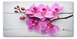 Foto obraz sklenený horizontálny Orchidea a na strome