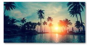 Fotoobraz na skle Západ slnka palmy osh-118937012