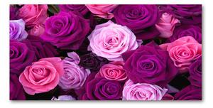 Fotoobraz na skle ruže osh-119226087
