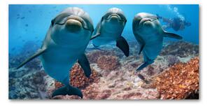 Foto obraz sklo tvrzené delfínmi osh-119968154