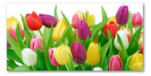 Foto-obraz fotografie na skle farebné tulipány