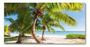 Foto obraz sklo tvrzené tropická pláž osh-126132906
