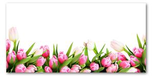 Foto obraz sklo tvrzené ružové tulipány osh-138798865