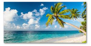 Foto obraz sklo tvrzené Maledivy pláž osh-139579212