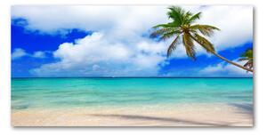 Foto obraz sklenený horizontálny Karigská pláž