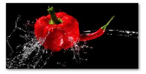 Foto obraz sklo tvrzené červenej papriky osh-14662638