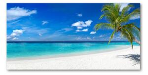 Foto obraz fotografie na skle tropická pláž osh-158283371