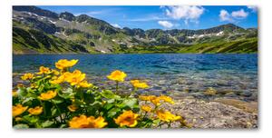 Fotoobraz na skle Jazero v horách osh-162951795