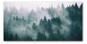 Fotoobraz na skle Hmla nad lesom osh-167720092