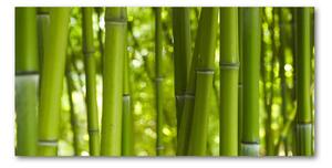 Foto obraz fotografie na skle bambus osh-24255297