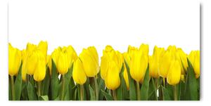 Foto obraz sklo tvrzené žlté tulipány osh-2665979