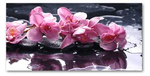 Foto obraz sklo tvrzené ružová orchidea osh-28903356