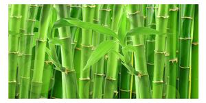 Fotoobraz na skle bambusy osh-36350386