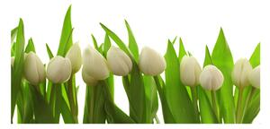 Foto obraz sklo tvrzené biele tulipány osh-40774671