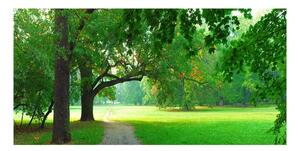 Foto obraz sklo tvrzené jesenné park osh-45444718