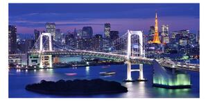 Foto obraz sklenený horizontálny Most v Tokio osh-46506945