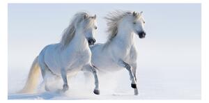 Foto obraz sklo tvrzené Dva kone v snehu osh-46568530