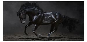 Foto obraz sklo tvrzené Čierny kôň osh-47712826