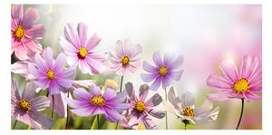 Foto obraz sklo tvrzené Kvety na lúke osh-50039707