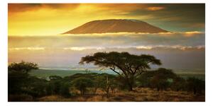 Fotoobraz na skle Kilimanjaro Kenya osh-49494611