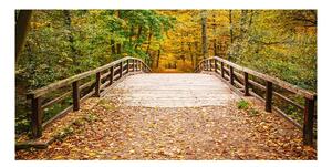 Moderný foto obraz na stenu Most v lese jeseň osh-55256739