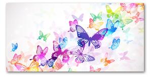 Foto obraz sklo tvrzené farební motýle osh-60051667