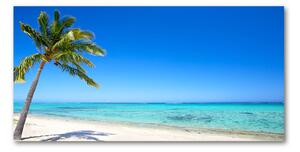 Fotoobraz na skle tropická pláž osh-60645814