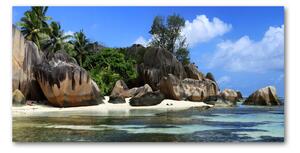 Fotoobraz na skle Seychely panorama osh-61342211