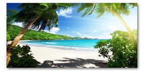 Moderný sklenený obraz z fotografie Seychely pláž