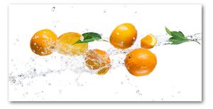 Fotoobraz na skle Pomaranče a voda osh-63072139