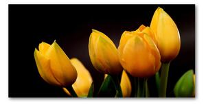 Foto obraz sklo tvrzené žlté tulipány osh-64836622